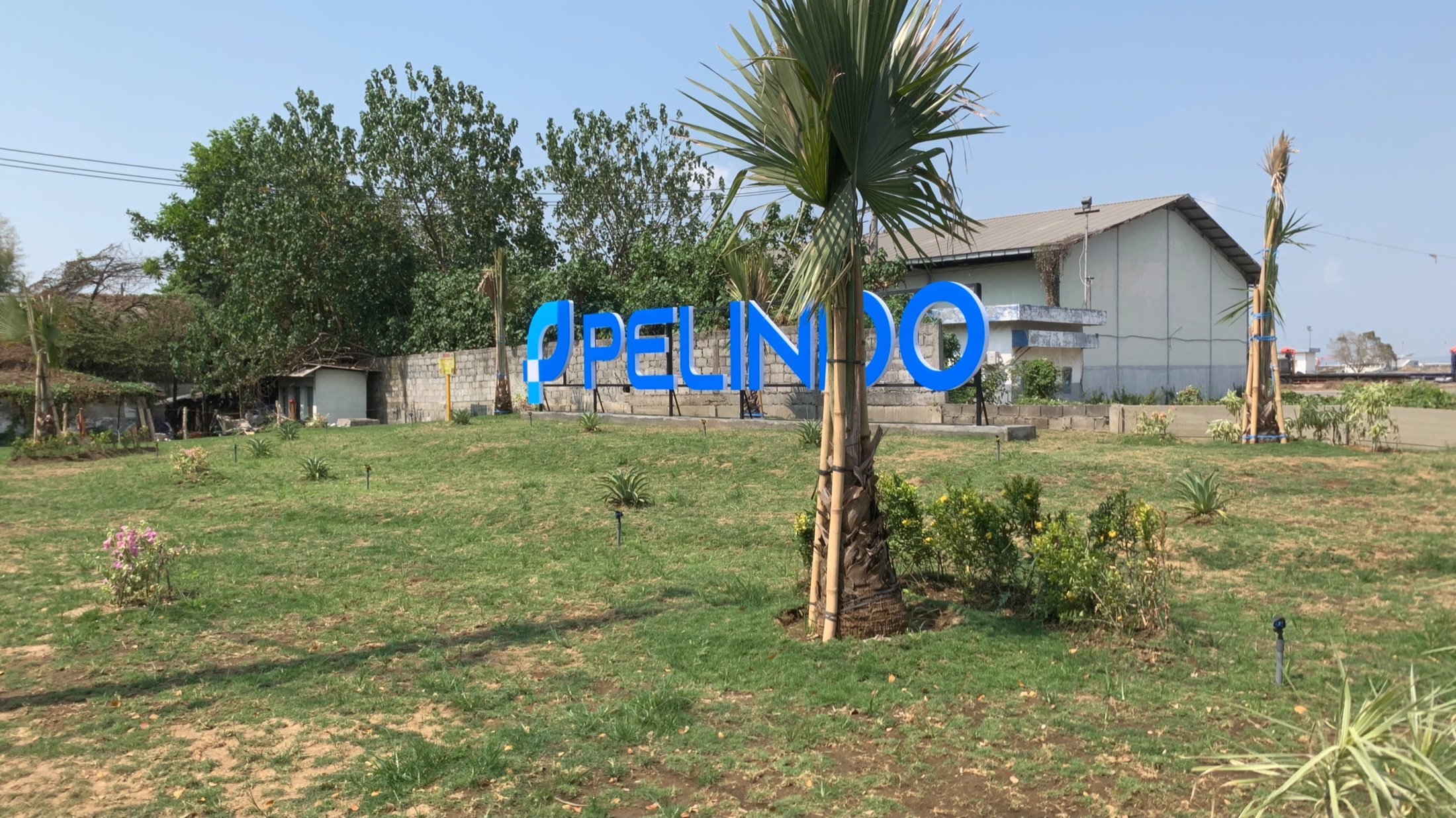 Hasil pekerjaan landscaping Tamanara Landscape di Pelindo Gresik